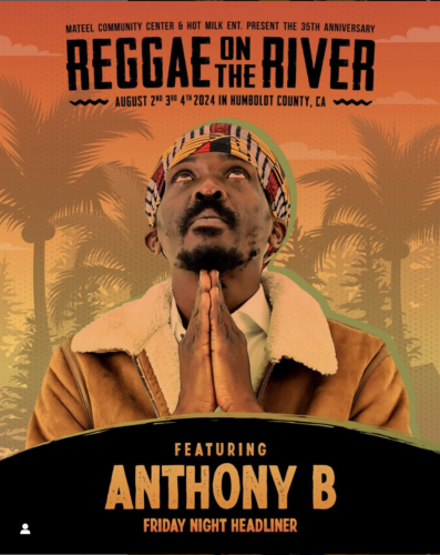 Read more about the article New Artists Announced for Reggae on the River 2024!!